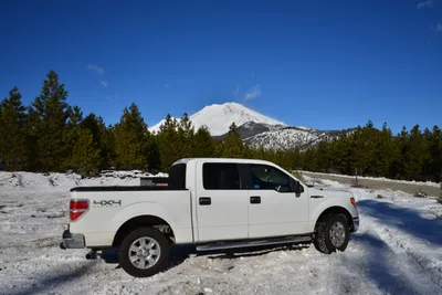 DSC_5903 (Large).JPG